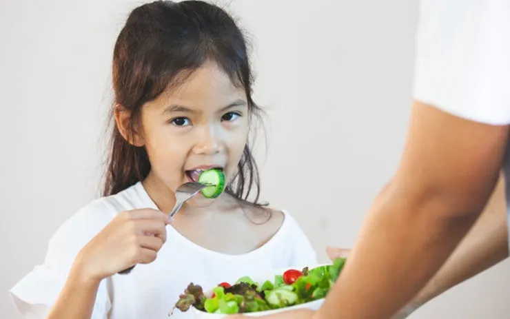 Cung Cấp Nguồn Dinh Dưỡng Thực Vật Dồi Dào