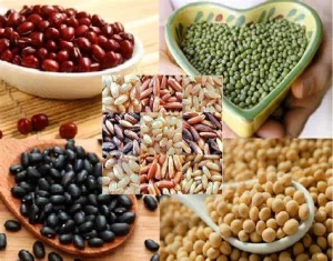 món chay từ hạt và ngũ cốc